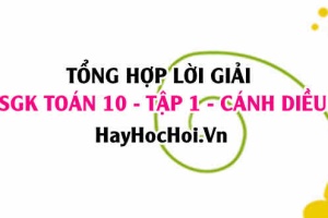 Giải Bài tập Toán 10 tập 1 SGK Cánh Diều